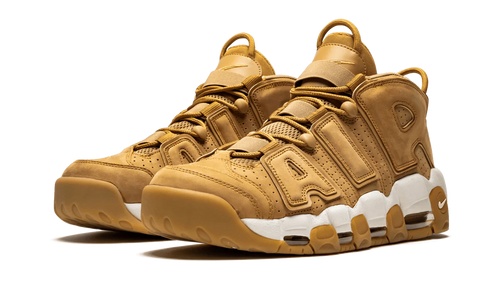 Air More Uptempo '96 PRM AA4060 200