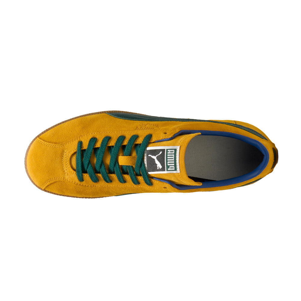 Brasil Lace Up Sneakers