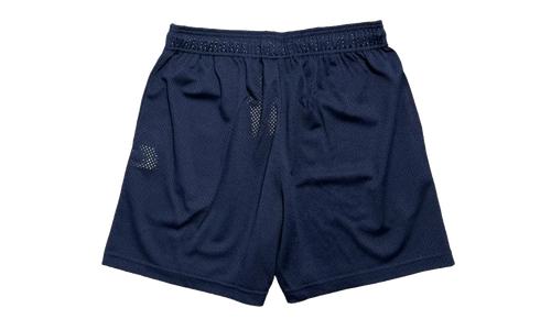 EE Basic Syracuse Shorts "Blue / Orange" EE155