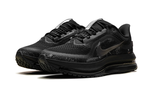 Nike Pegasus Premium "Realtree" IF9630 001