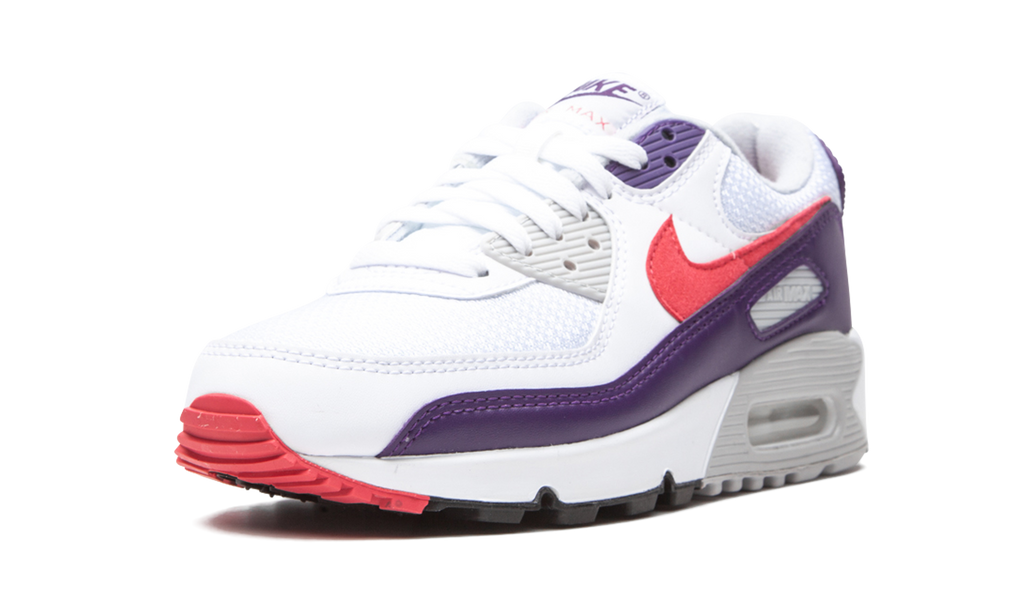 Air Max 90 WMNS"Eggplant" CW1360 100