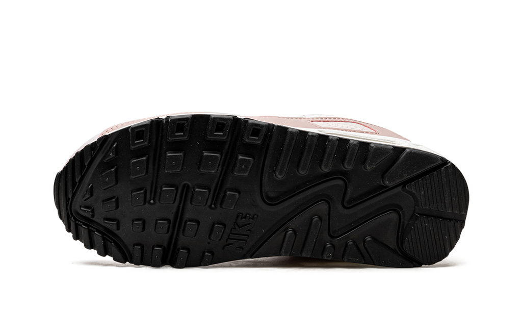 AIR MAX 90 MNS WMNS DH8010 600
