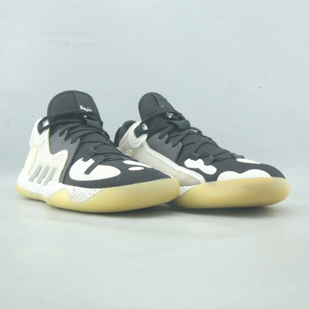 HARDEN STEPBACK 2