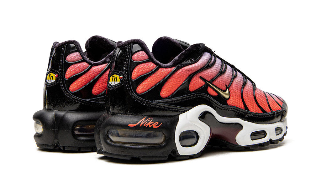 AIR MAX PLUS MNS WMNS"Sisterhood" DO6115 500