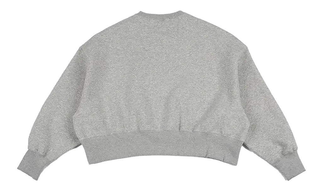 NSW Pheoneix Fleece Oversized Crew WMNS"Pure Platinum" DQ5761 043