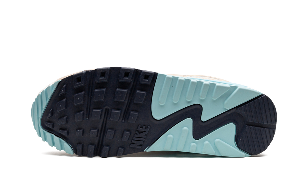 AIR MAX 90 WMNS"air max 90 sail copa" DQ4699 100